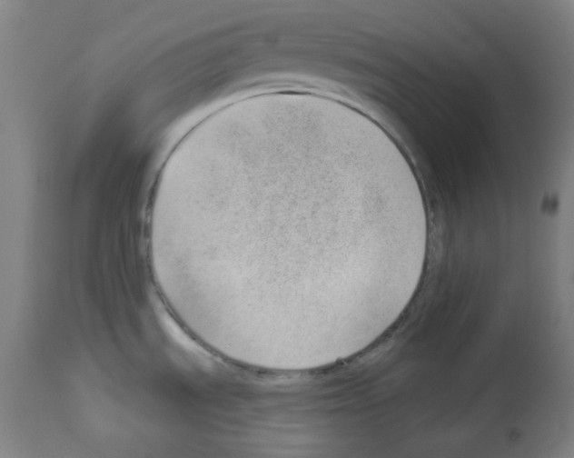 X0000112981535200910081058