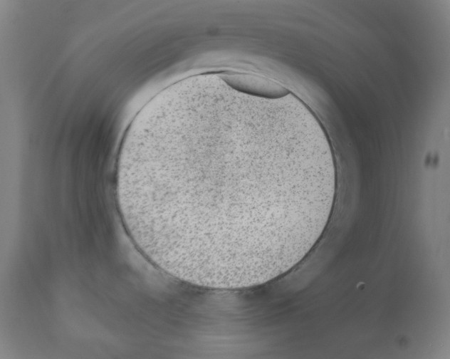 X0000112981536200910081058