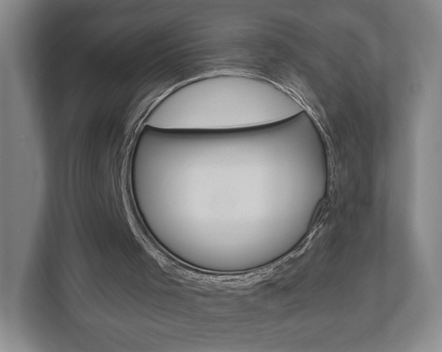 X0000113000001200908270929