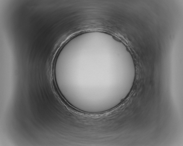 X0000113000002200908270929