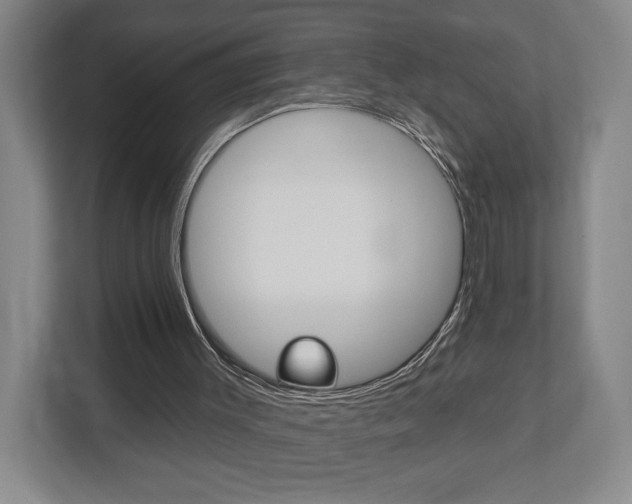 X0000113000003200908270929