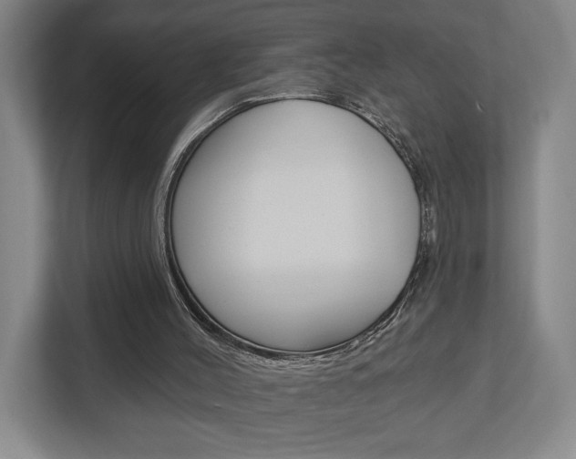 X0000113000004200908270929