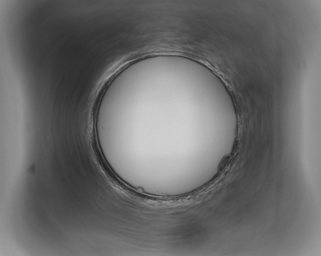 X0000113000005200908270929