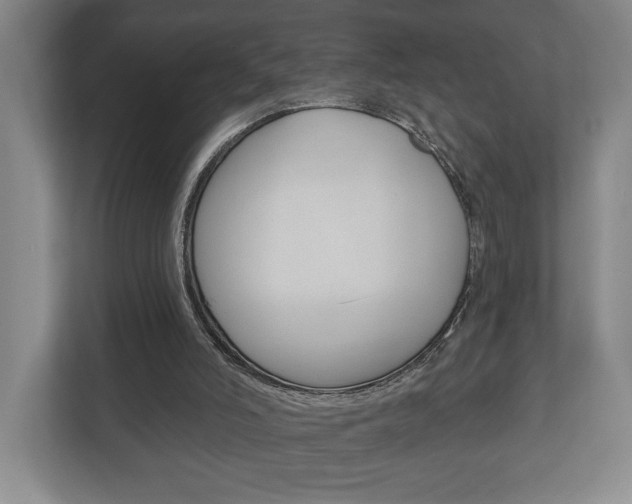 X0000113000006200908270929