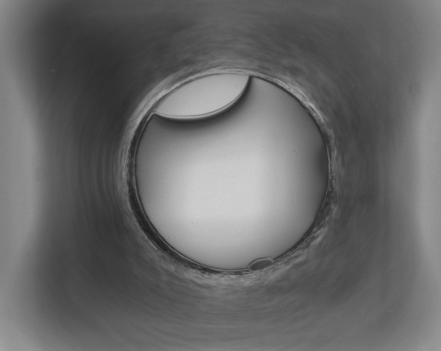 X0000113000007200908270929