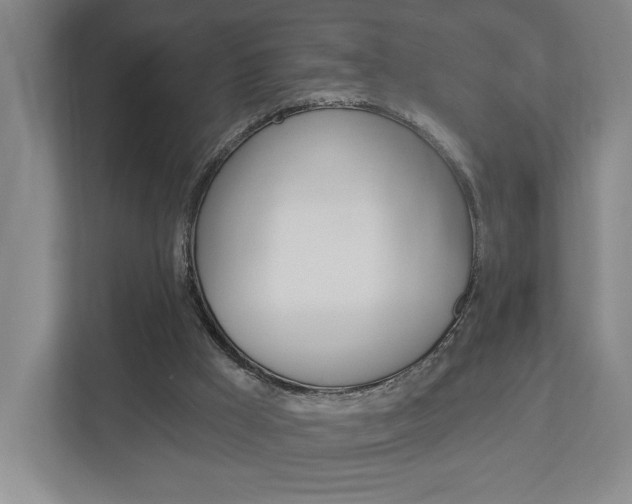 X0000113000009200908270929