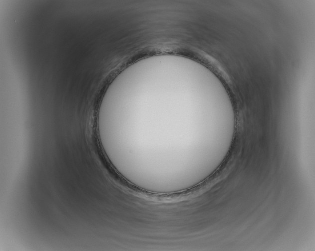 X0000113000018200908270929