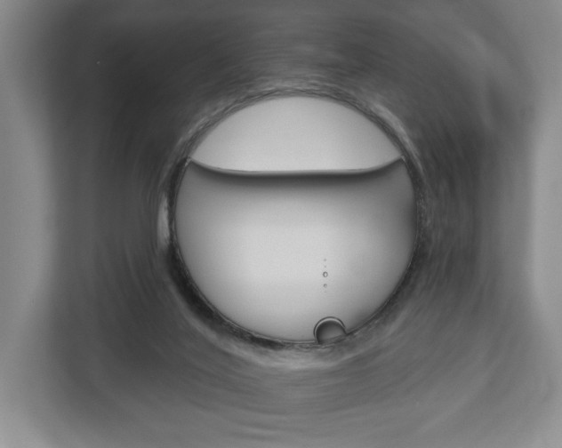 X0000113000020200908270929