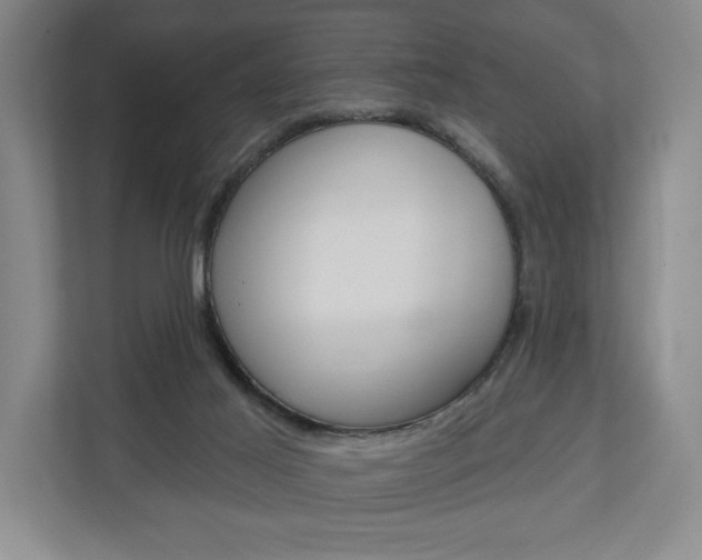 X0000113000021200908270929