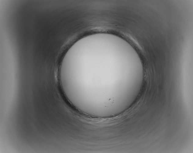 X0000113000023200908270929