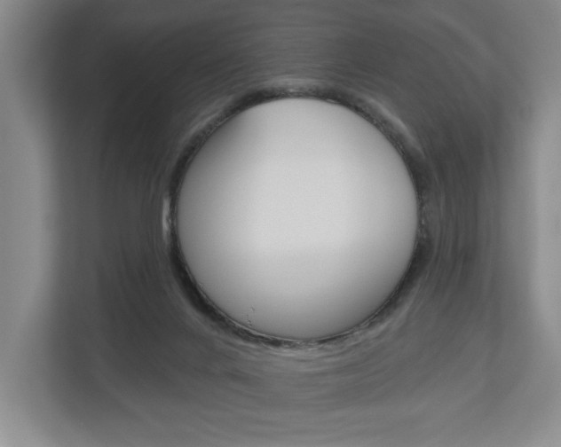 X0000113000024200908270929