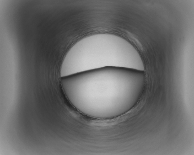 X0000113000025200908270928