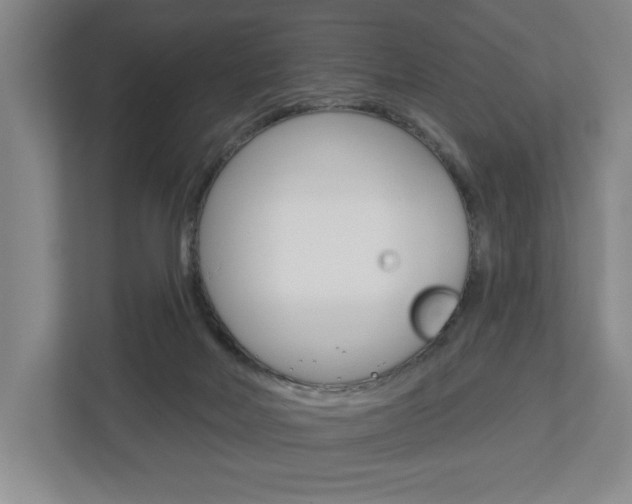 X0000113000026200908270928