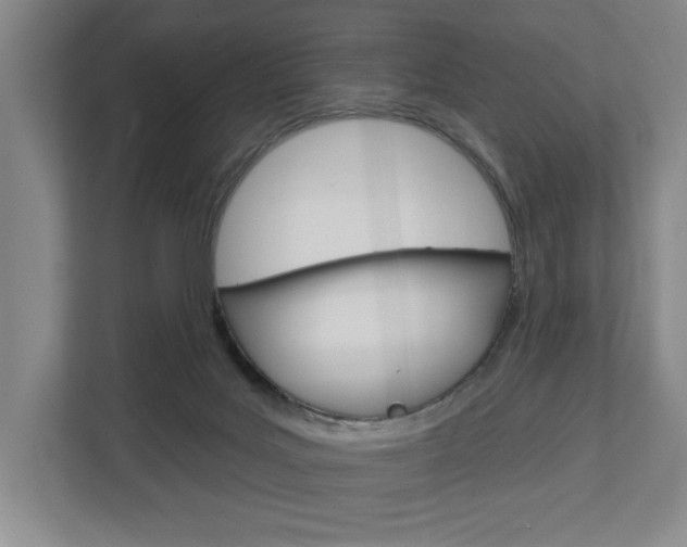 X0000113000027200908270928