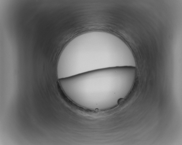 X0000113000028200908270928
