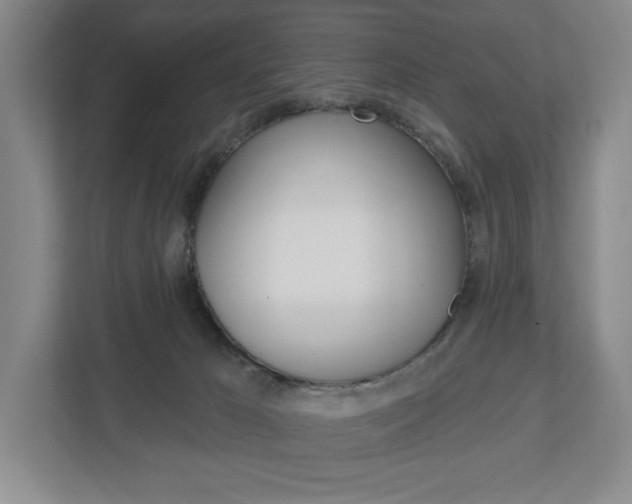 X0000113000029200908270928