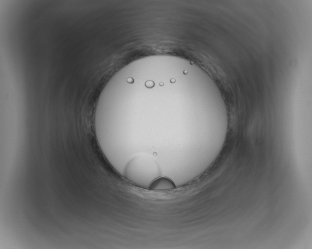 X0000113000030200908270928