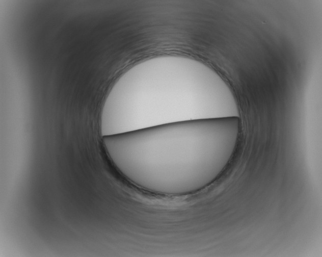 X0000113000032200908270928