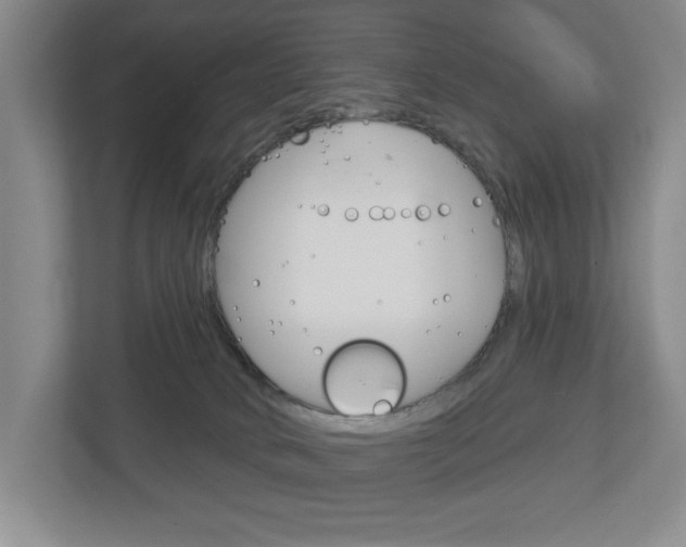 X0000113000034200908270928