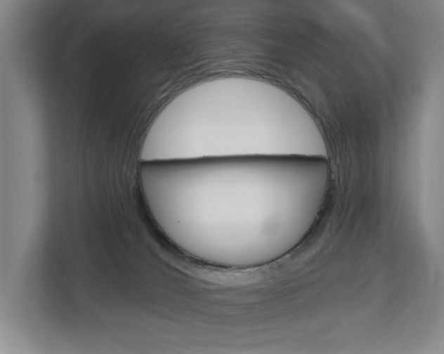 X0000113000036200908270928