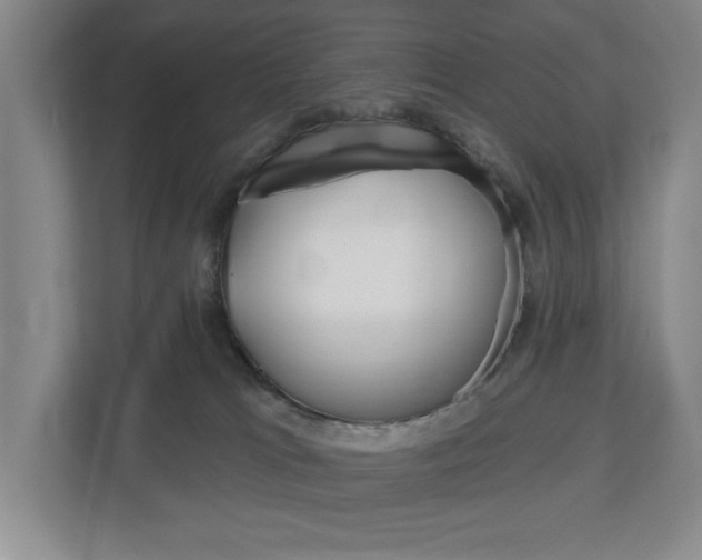 X0000113000037200908270928