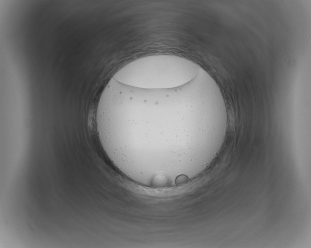 X0000113000038200908270928