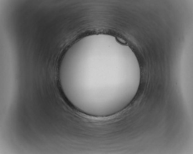 X0000113000039200908270928