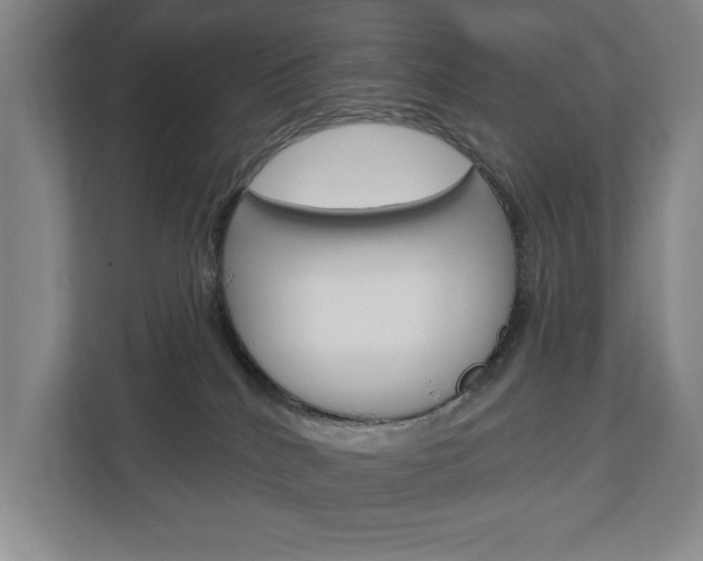 X0000113000040200908270928