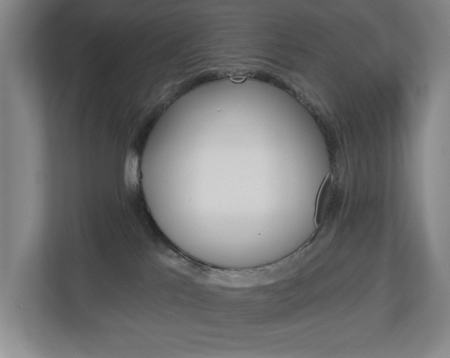 X0000113000041200908270928