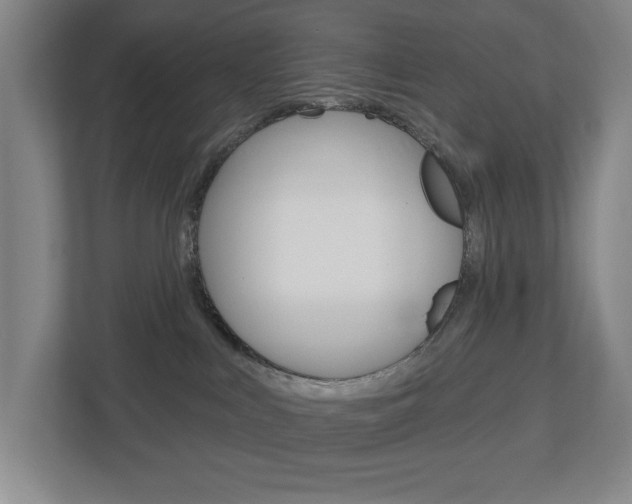 X0000113000043200908270928
