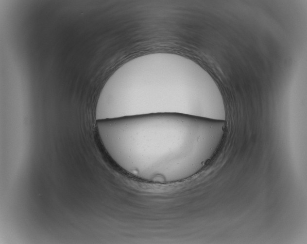 X0000113000044200908270928