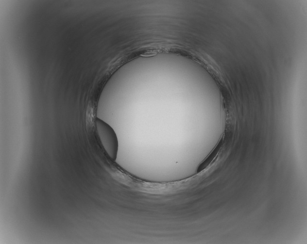 X0000113000045200908270928
