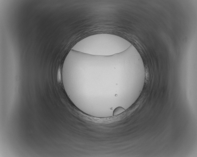 X0000113000046200908270928