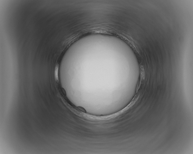 X0000113000047200908270928
