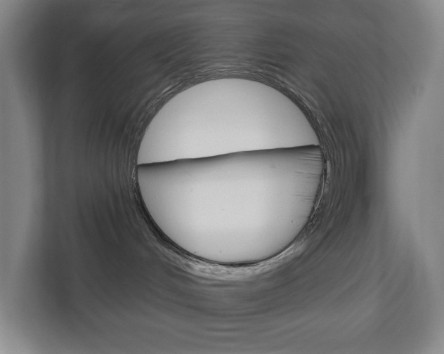 X0000113000048200908270928