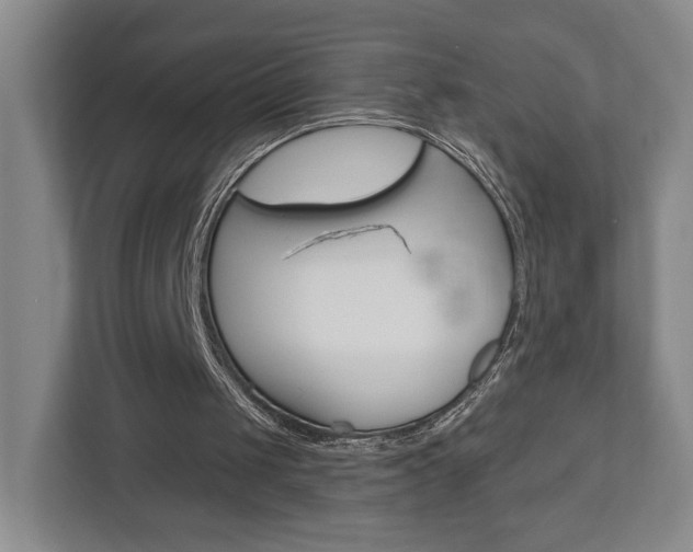 X0000113000049200908270928