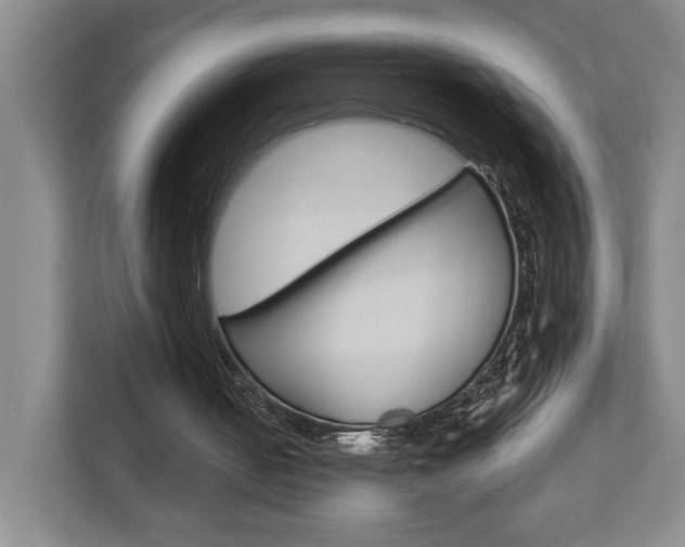 X0000113000050200908270928