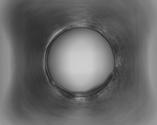 X0000113000052200908270928