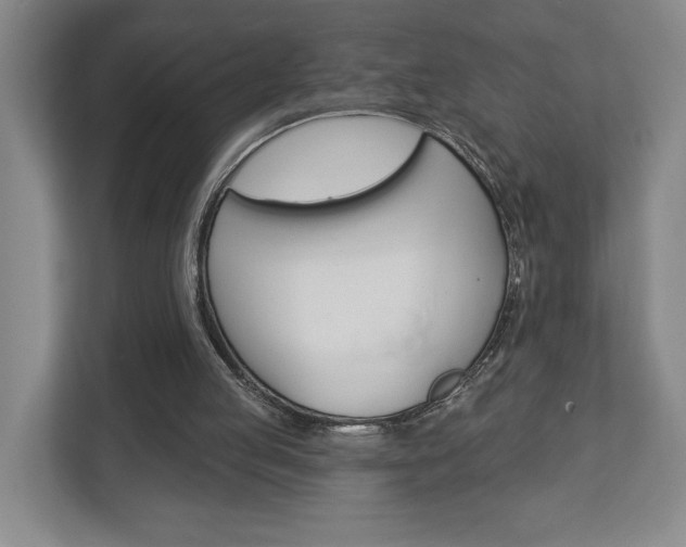 X0000113000053200908270928