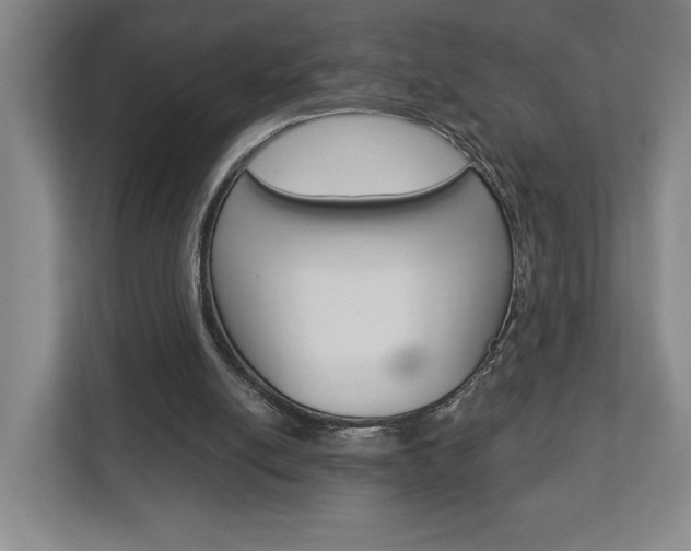 X0000113000054200908270928