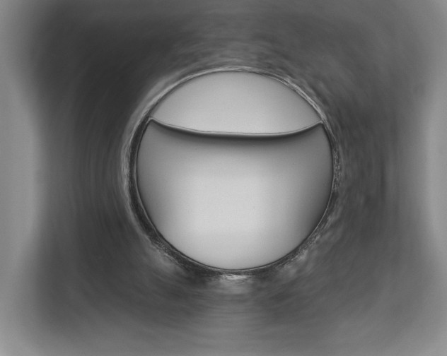 X0000113000055200908270928