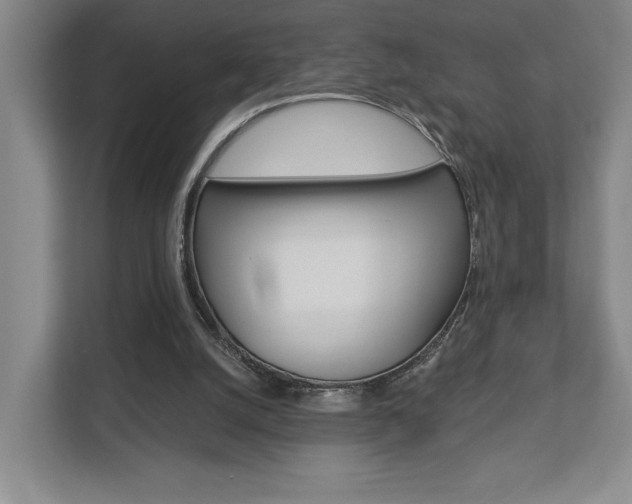 X0000113000056200908270928