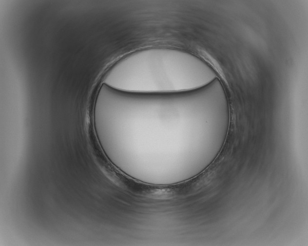 X0000113000059200908270928