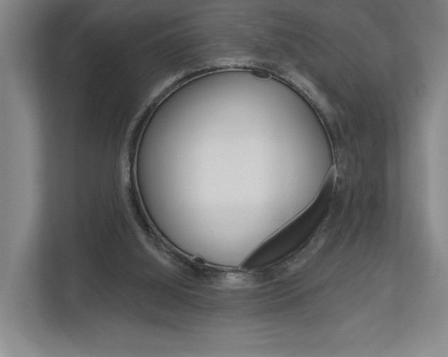 X0000113000060200908270928