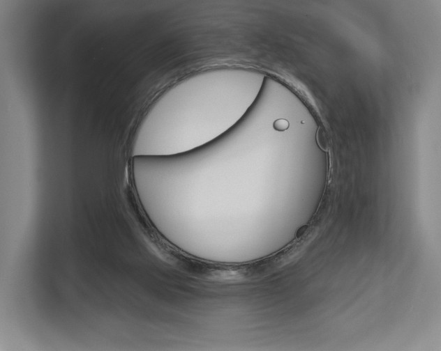 X0000113000061200908270928