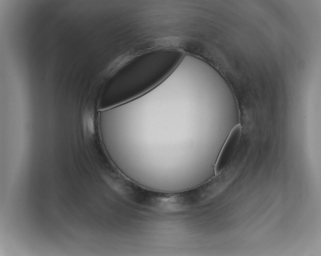 X0000113000068200908270928