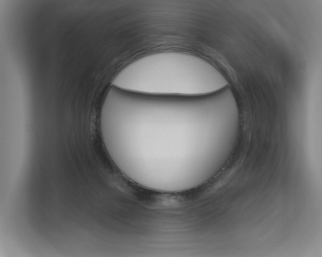 X0000113000073200908270928