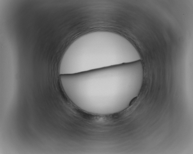 X0000113000074200908270928