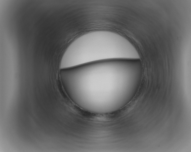 X0000113000076200908270928