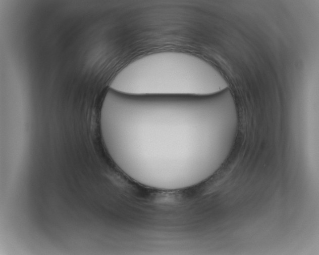 X0000113000077200908270928